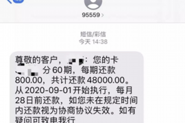 郯城为什么选择专业追讨公司来处理您的债务纠纷？